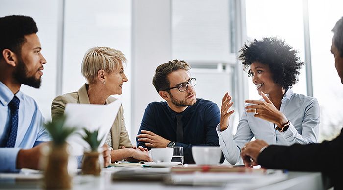 Group of diverse professionals discussing the Standards